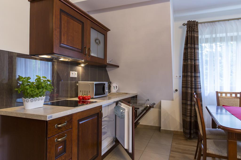 udanypobyt Apartamenty Snowbird Kościelisko Zewnętrze zdjęcie