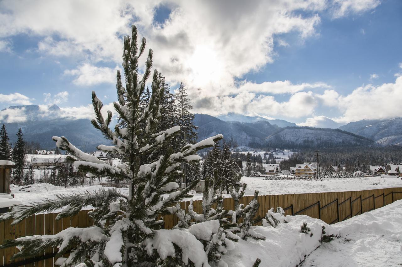 udanypobyt Apartamenty Snowbird Kościelisko Zewnętrze zdjęcie
